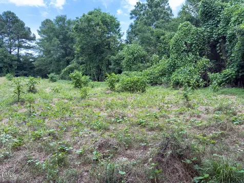 00 Mt Pleasant Church Road Manson NC 27553