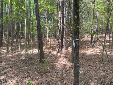 00 Mt Pleasant Church Road Manson NC 27553