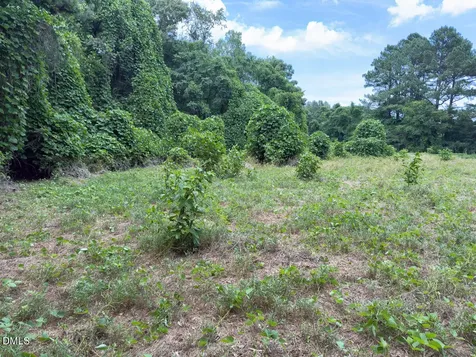 00 Mt Pleasant Church Road Manson NC 27553