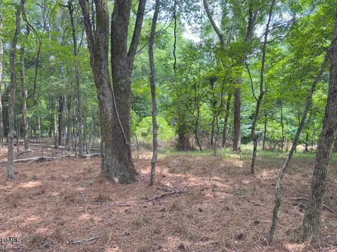00 Mt Pleasant Church Road Manson NC 27553