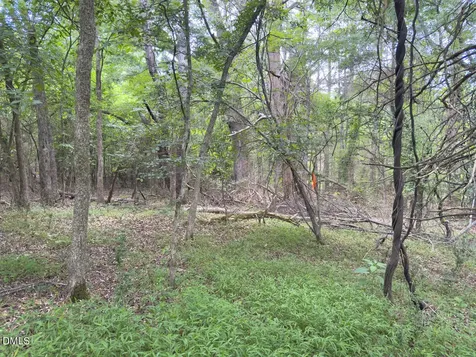 00 Mt Pleasant Church Road Manson NC 27553