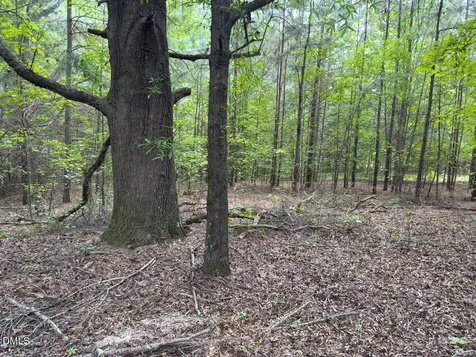 00 Mt Pleasant Church Road Manson NC 27553