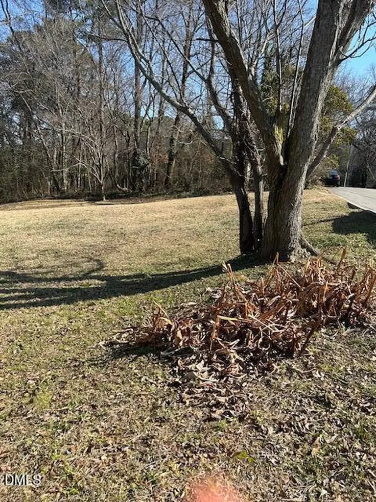 400 E Hinton Street Clayton NC 27520
