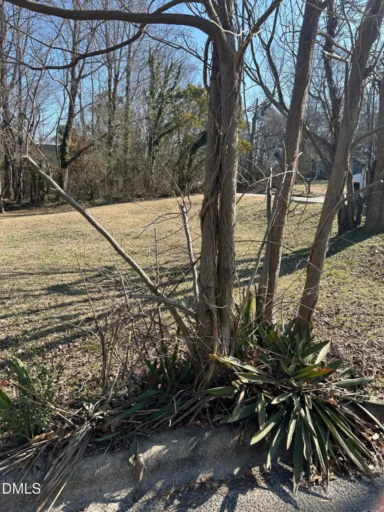 400 E Hinton Street Clayton NC 27520