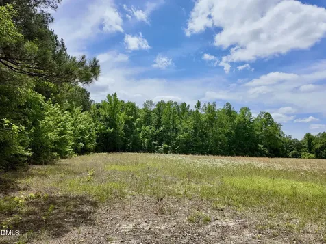 768 Bethesda Church Road Fairmont NC 28340