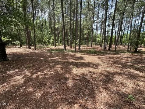 768 Bethesda Church Road Fairmont NC 28340