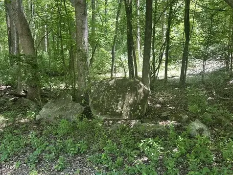 578 Nicks Bend W Pittsboro NC 27312