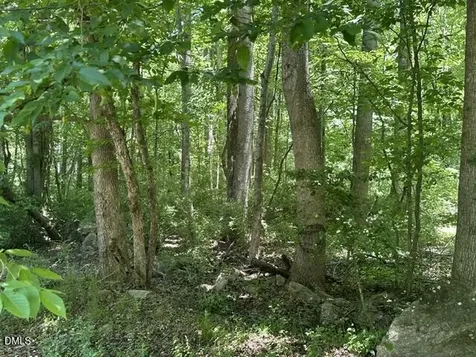 578 Nicks Bend W Pittsboro NC 27312