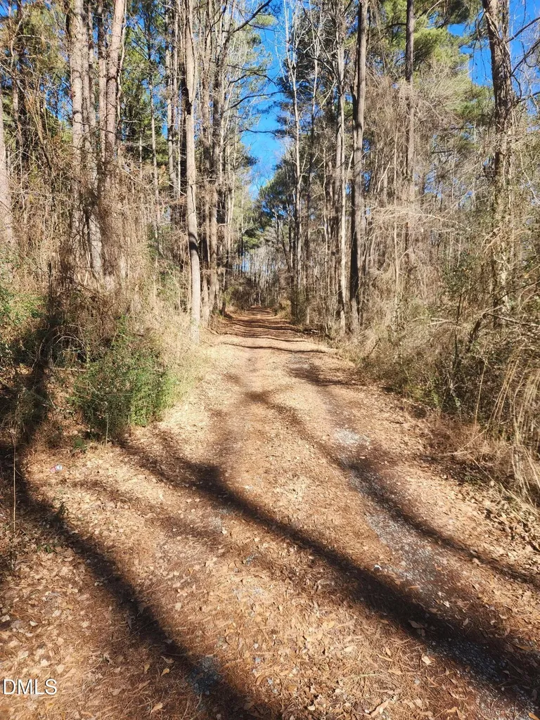 174 Solomon Worley Drive Moncure NC 27559