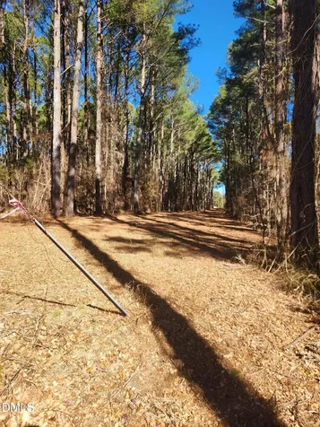 174 Solomon Worley Drive Moncure NC 27559