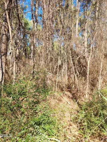 174 Solomon Worley Drive Moncure NC 27559