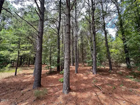 0 Us 401 Highway S Youngsville NC 27596