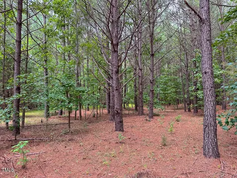 0 Us 401 Highway S Youngsville NC 27596