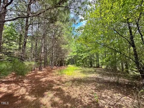0 Us 401 Highway S Youngsville NC 27596