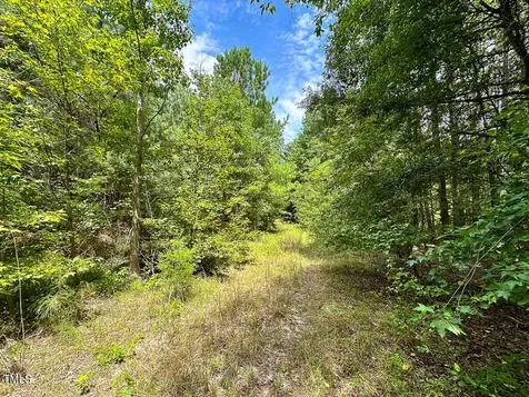 0 Us 401 Highway S Youngsville NC 27596