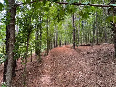 0 Us 401 Highway S Youngsville NC 27596