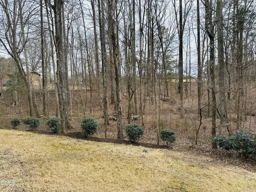1037 Bender Ridge Drive Morrisville NC 27560