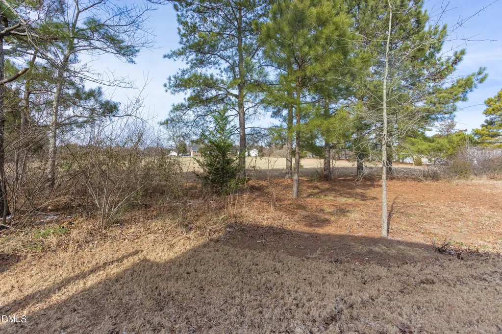 54 Wildflower Circle Clayton NC 27520