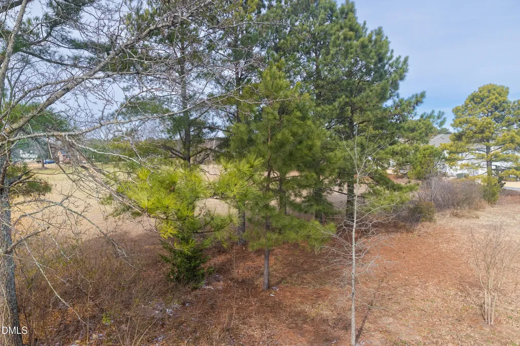 54 Wildflower Circle Clayton NC 27520