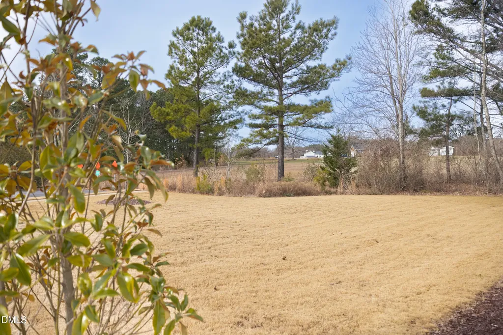 54 Wildflower Circle Clayton NC 27520
