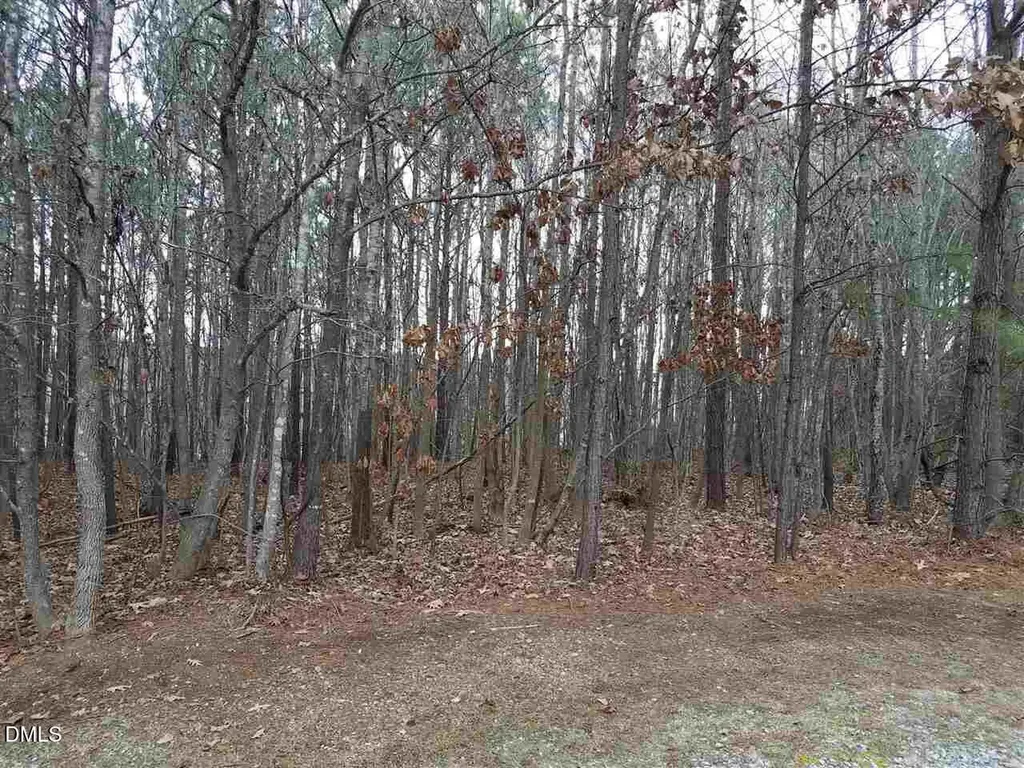 2908 Satori Way Apex NC 27539