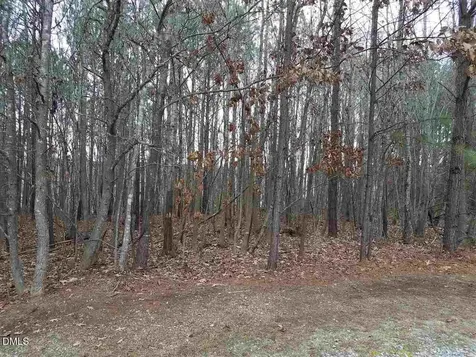 2908 Satori Way Apex NC 27539