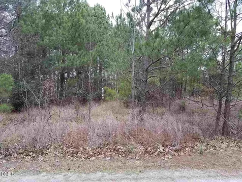 2908 Satori Way Apex NC 27539