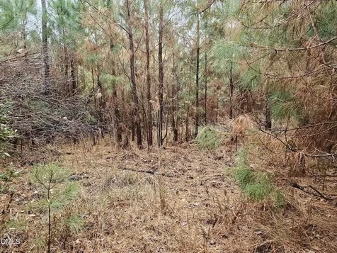 00 N Nc 304 Bayboro NC 28515