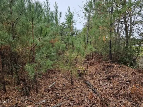 00 N Nc 304 Bayboro NC 28515