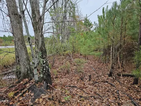 00 N Nc 304 Bayboro NC 28515