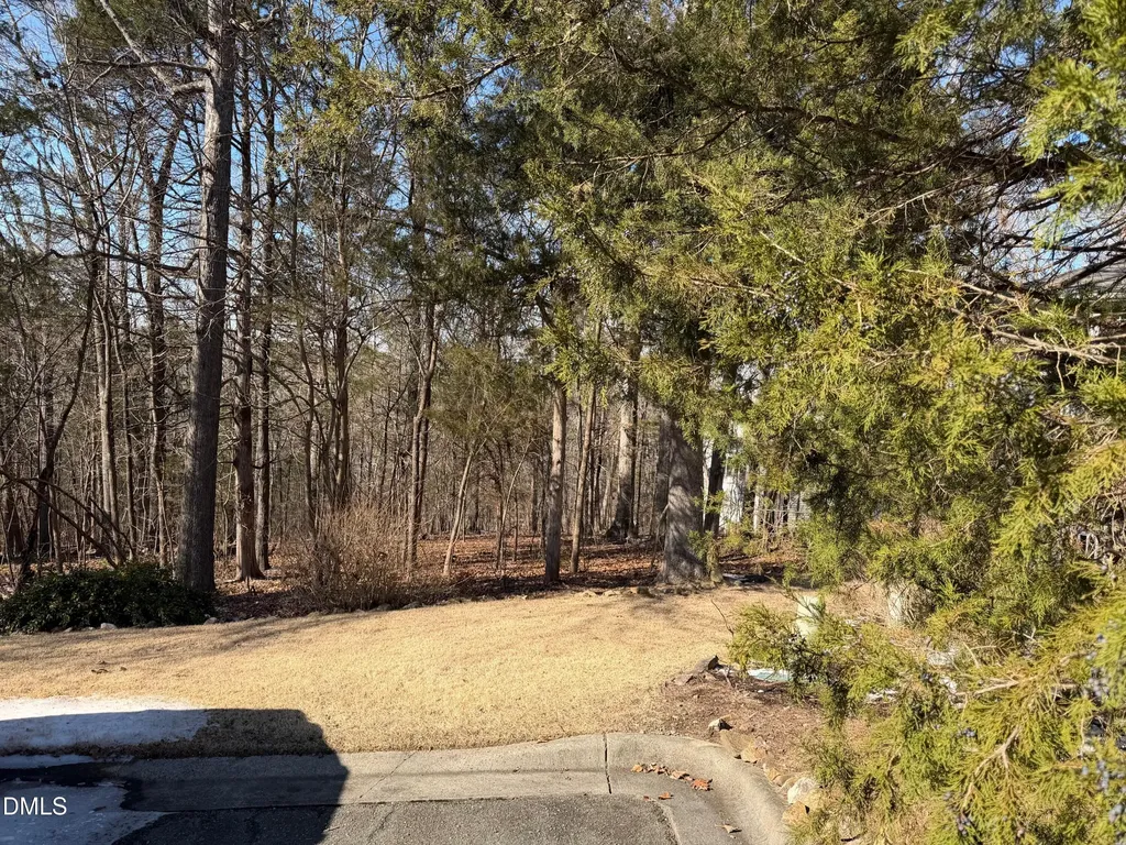 102 Jolyn Place Chapel Hill NC 27517