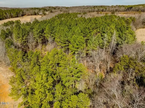 0 Mark Willett Road Bear Creek NC 27207