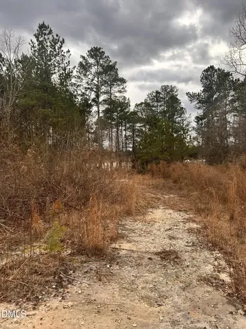 198 Old County Line Road Cameron NC 28326