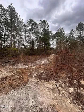 198 Old County Line Road Cameron NC 28326