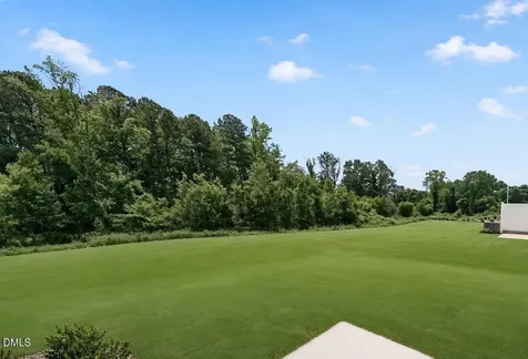 325 Sweetbay Tree Drive Wendell NC 27591