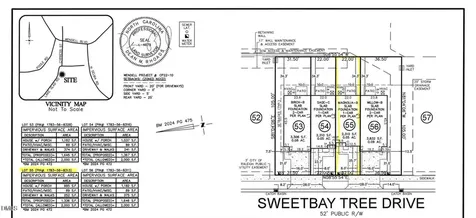 323 Sweetbay Tree Drive Wendell NC 27591