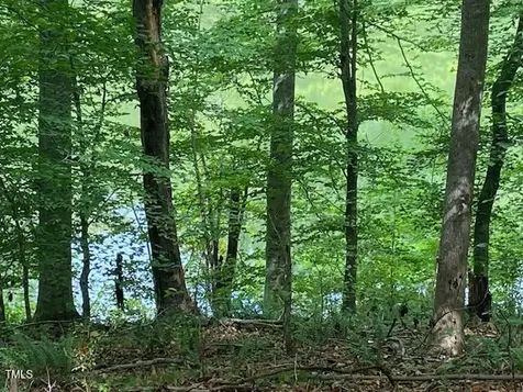 1105 Fontaine Road Roxboro NC 27574