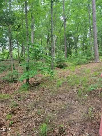Lot 23 Sail View Lane Macon NC 27551
