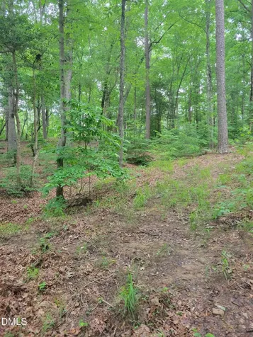 Lot 23 Sail View Lane Macon NC 27551