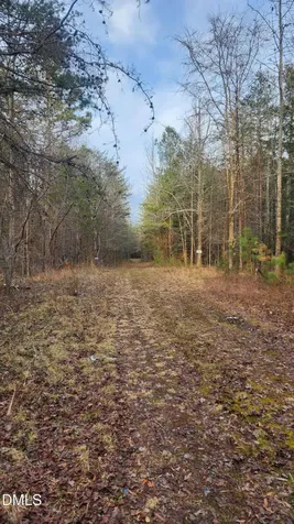 000 Northpointe Farms Trail Efland NC 27243