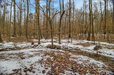 0 Mace Road Mebane NC 27302