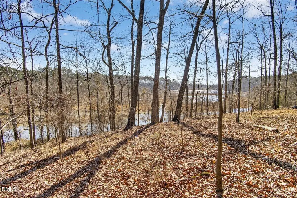 0 Globe Road Morrisville NC 27560