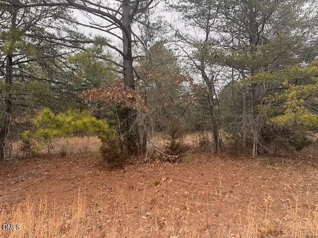 000 Triple Creek Drive Efland NC 27243