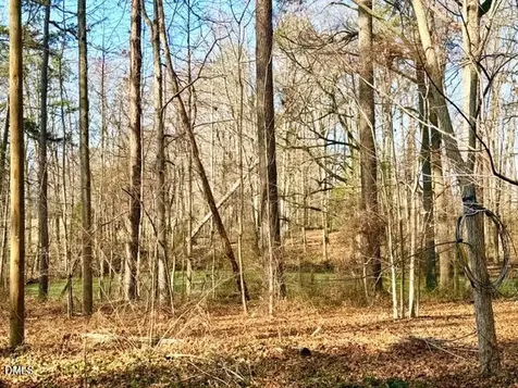 6998 Us 421 S Bear Creek NC 27207