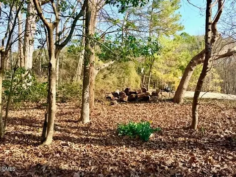 6998 Us 421 S Bear Creek NC 27207