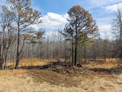 Lot 4 Collie Jones Road Rougemont NC 27572