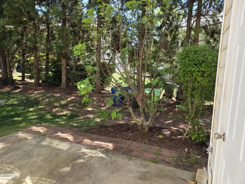 7869 Spungold Street Raleigh NC 27617
