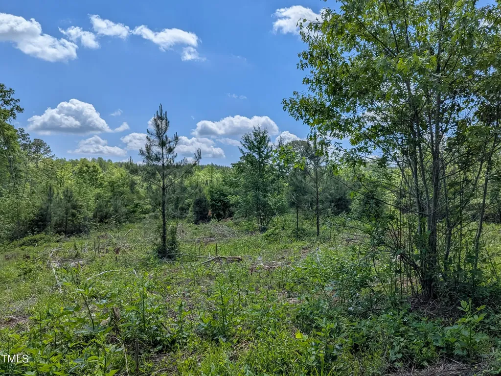 0 Cypress Creek Drive Louisburg NC 27549