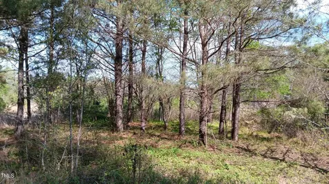 0 Cypress Creek Drive Louisburg NC 27549
