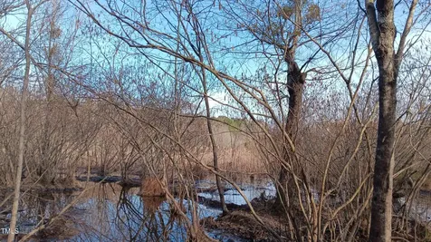 0 Cypress Creek Drive Louisburg NC 27549